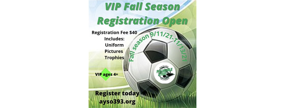 AYSO VIP (For players with physical or mental disabilities)